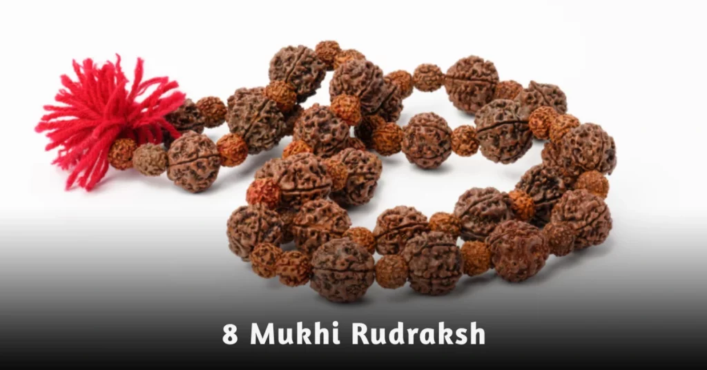 8 mukshi rudraksh bead symbolizing protection, wisdom, and divine energy